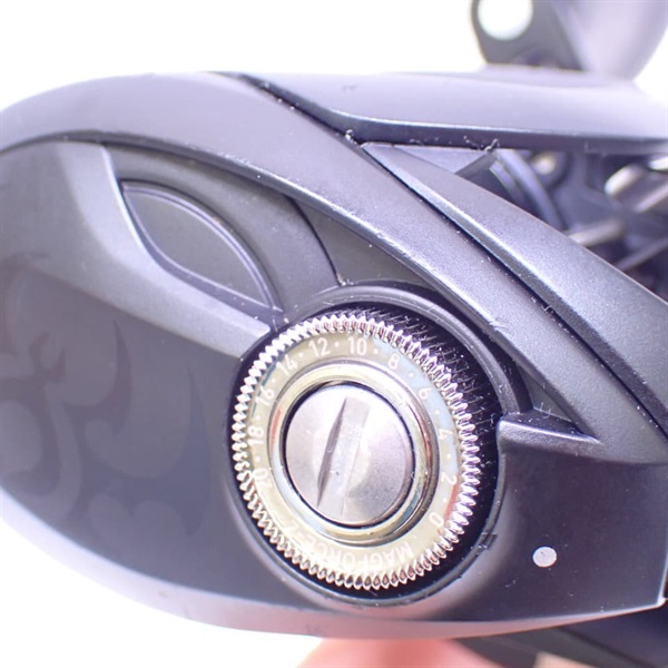 １９タトゥーラＴＷ１００ＳＨＬ